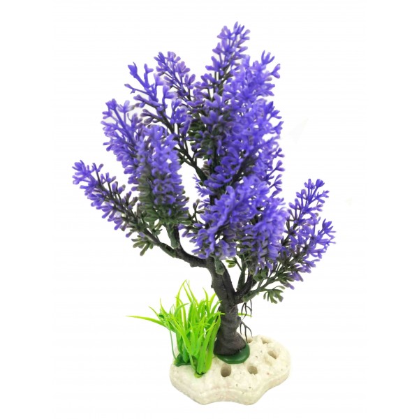 ΔΙΑΚΟΣΜΗΤΙΚΟ ΦΥΤΟ ΕΝΥΔΡΕΙΟΥ